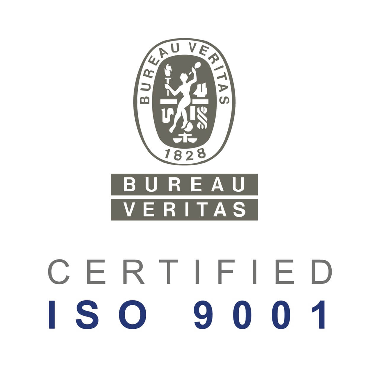 BUREAU VERITAS_Mesa de trabajo 1 Grande